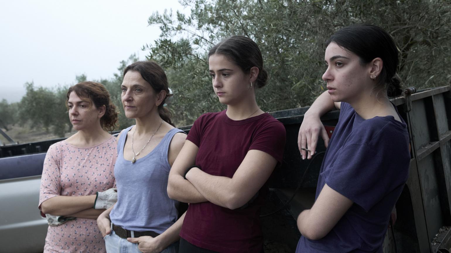 Nosotras contamos 2025