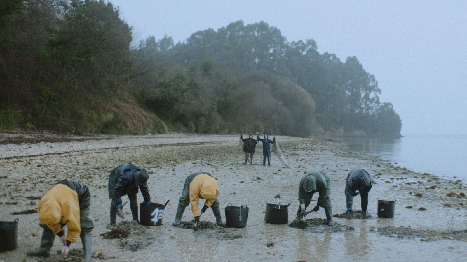 Nosotras contamos 2025